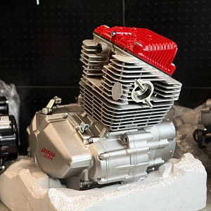 Двигатель в сборе ZS 175FMN (CB300RL) возд. охл., электростартер, кик стартер,  5 передач PITONMOTO