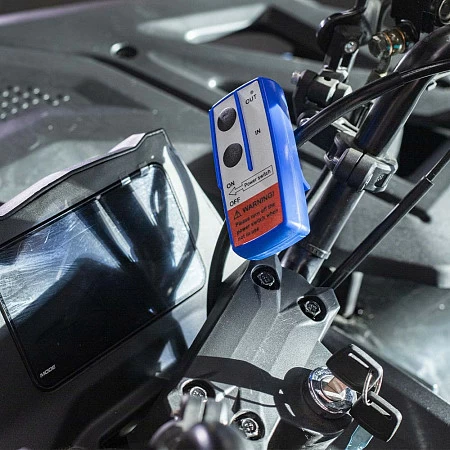 Квадрицикл Bizon YK250 LUX EFI (Черный)