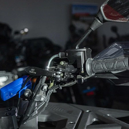 Квадрицикл Bizon YK250 LUX EFI (Черный)