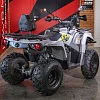 Запчасти для квадроцикла GLADIATOR (Mikilon) F200 (серый)
